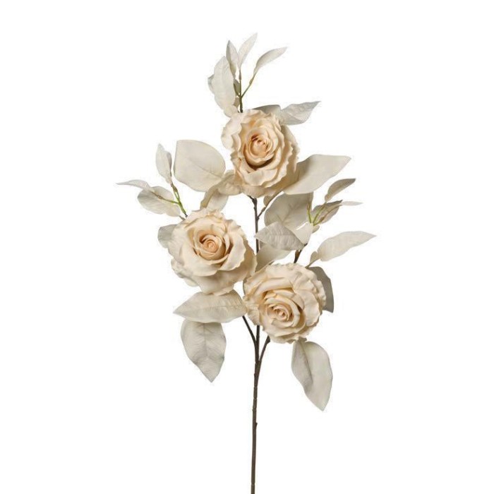 RAMO ROSE X3 CM90 BEIGE